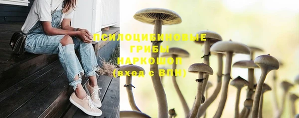 амф Касимов