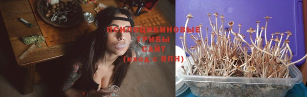 амф Касимов