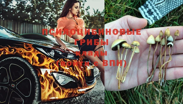 гидра Карталы