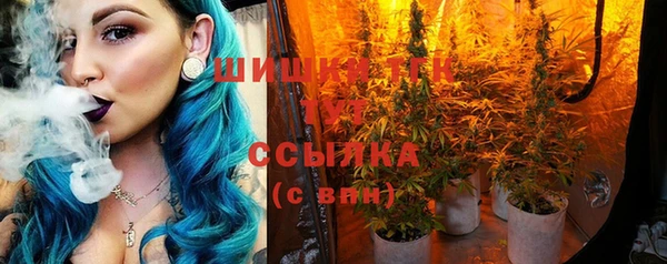 гидра Карталы