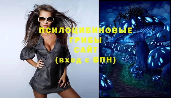 амф Касимов
