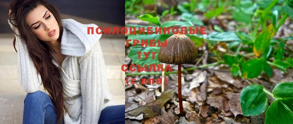 амф Касимов
