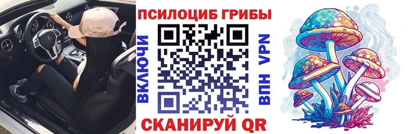 Псилоцибиновые грибы ЛСД  Купить  Краснозаводск 
